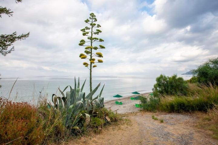 Mola Kaliva Sea View, 100M From The Beach! Exteriér fotografie